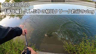 10/18 久しぶりの柳川クリーク釣行のvlog