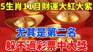 5個生肖11月財運大紅大紫！躲不過彩票中大獎！尤其是第二名生肖！財運旺！大獎砸頭！想不富都難！【佛語禪音】#生肖 #命理 #運勢 #屬相 #風水