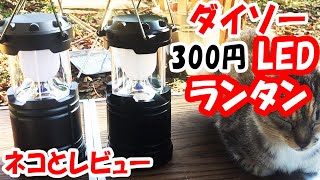 「何動画!?」ダイソー 300円LEDランタンライトをネコに気を使いながらレビュー。