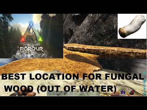 Best Early Game Fungal Wood Location (Out Of Water) Fjordur Ark - YouTube