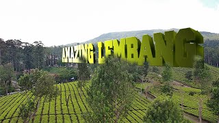 AMAZING LEMBANG//PERKEBUNAN TEH Gn. TANGKUBAN PERAHU #walkingvlog #lembang #perkebunanteh #lembang