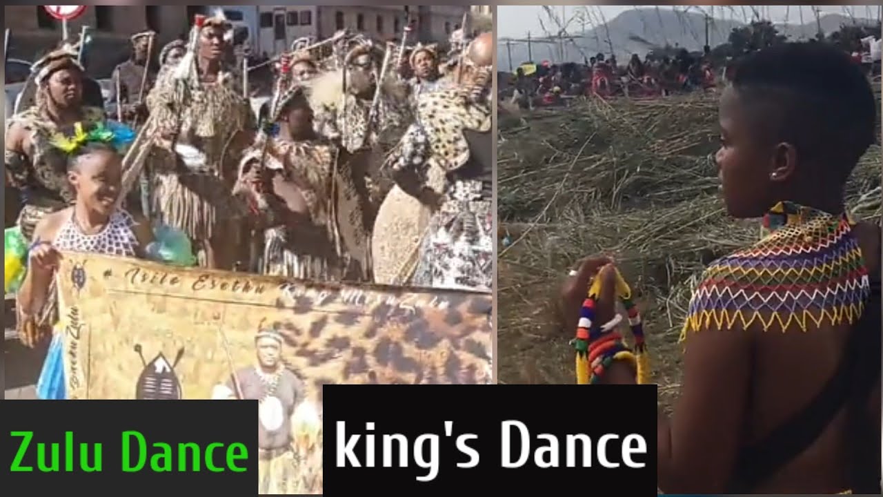 Reed Dance Zulu Dance King S Dance South Africa Zulu Tribe Dance Wode Maya 4k Africa Reed Dance Zulu Dance King S Dance South Africa Zulu Tribe Dance Wode Maya 4k Africa