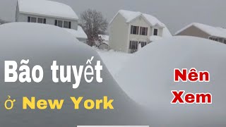 Bão tuyết ở New York đáng sợ như thế nào, đừng bỏ lỡ dịp xem nhé...