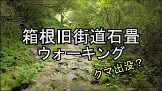 【ウォーキング】#2 箱根旧街道石畳ウォーキング