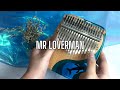 MR LOVERMAN - Ricky Montgomery (Kalimba Cover with Tabs and Lyrics)