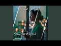 Echoes in Concrete