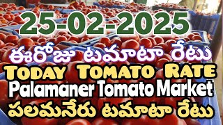 పలమనేరు 🍅🍅🍅టమాటో మార్కెట్ ధరలు 25-02-2025 ||ఈ రోజు టమోటా ధర Palamaner Market||@ckgowthamvlogs