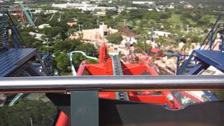 90 Degree Roller Coaster Drop at Bush Gardens