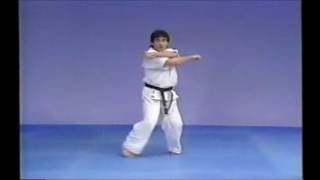 極真空手・型　 撃砕　大　Kata GekisaiDai