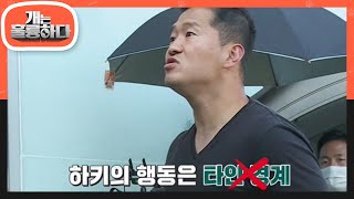 끝없는 경계.. 매 순간이 일촉즉발! 하키 통제 훈련 [개는 훌륭하다/Dogs Are Incredible] | KBS 220530 방송