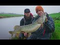 chasing pressured pike westin fishing