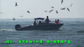 雲南昆明滇池的漂亮紅嘴鷗Beautiful Red-billed Gull in Dianchi, Kunming, Yunnan