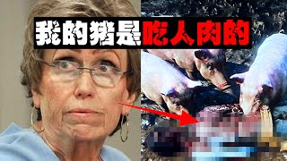 【女装养猪】只因爱猪喂它吃人肉，女装大佬的黑暗秘密【郑郑得证】