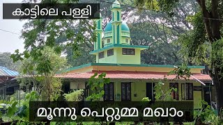 മൂന്നു പെറ്റുമ്മ മഖാം കാട്ടിലെ പള്ളി moonnupettumma maqam faizal manjeri Faisal manjeri