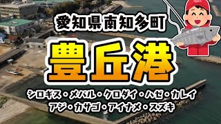 【愛知県知多郡南知多町】『豊丘港：とよおかこう』の釣り場情報