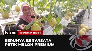 Wisata Petik Melon Premium Wajib jadi Agenda Liburan Bersama Keluarga | Nusantara Terkini tvOne