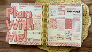 PLAN WITH ME | Finally, one that’s on time!