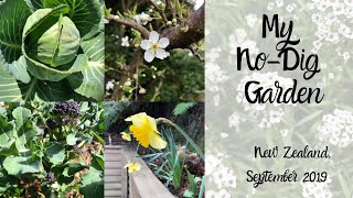 September in my No-Dig Garden // Spring New Zealand // Planting Potatoes + Homemade Compost