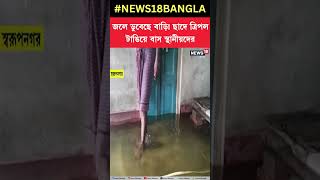 জলে ডুবেছে বাড়ি! ছাদে ত্রিপল টাঙিয়ে বাস স্থানীয়দের । #shorts