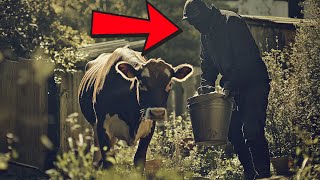 (Full Part) Cow's Milk Kept Disappearing and The Farmer Found The Reason