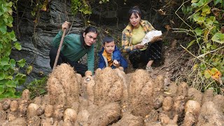 Harvest cassava, sell at the market, buy new clothes for the children, live on the farm