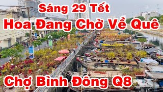 Buổi Chợ Sáng  29 Tết Vắng Tanh  Hoa Thật Là Nhiều ,Nhưng Người Mua Thì Không Có Tại Bình Đông Q8