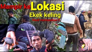 Mikat ENGKEK KELING (panca warna) hasil MEMUASKAN