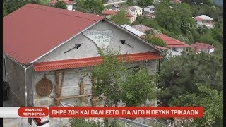 ΠΗΡΕ ΖΩΗ ΚΑΙ ΠΑΛΙ ΕΣΤΩ ΓΙΑ ΛΙΓΟ Η ΠΕΥΚΗ ΤΡΙΚΑΛΩΝ| 28/05/2019 | ΕΡΤ