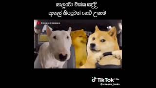 කොල්ලා කොතනද එතන ආතල්