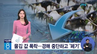 물김 값 폭락...경매 중단하고 '폐기'