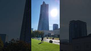 昼休み散歩　観光地　横浜みなとみらい　美術館前に芝生？登場　ランドマークタワー　マークイズ　ランドマークプラザ　のんびり昼休み