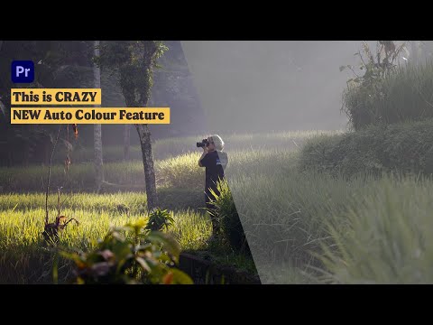 Is it better to color correct in Premiere Pro or After Effects?