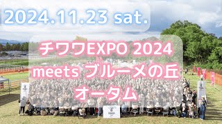 #119 【チワワの祭典】チワワEXPO2024 meets ブルーメの丘 オータム【2024.11.23】