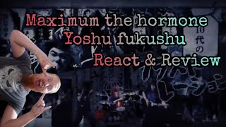 INCREDIBLE!/ Maximum the Hormone - Yoshu Fukushu React & Review