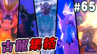 【モンハンストーリーズ2】集いし古龍たちを撃破せよ！『モンスターハンターストーリーズ2 破滅の翼』を実況プレイpart65【MHS2】