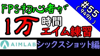 【Aim Lab】FPS初心者が10000時間エイム練習したら上達するのか?(949時間目)