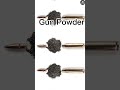 चमगादड़ की potty से बारूद कैसे बनता है shorts gunpowder gun