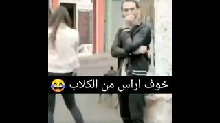 # الحفرة خوف ياماش من الكلاب راحت الهيبة 😂