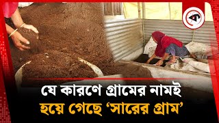 সবুজে ঘেরা এ গ্রামের নামই হয়ে গেছে ‘সারের গ্রাম’ | Jhenidhah | Fertilizer Village | Kalbela