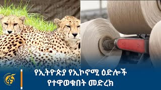 የኢትዮጵያ የኢኮኖሚ ዕድሎች የተዋወቁበት መድረክ