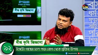 Deepto Krishi Jiggasha || টমেটো গাছের ঢলে পড়া রোগ থেকে মুক্তির উপায় || Deepto Krishi