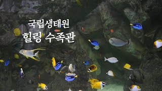 [힐링 생태원] 국립생태원 힐링수족관ㅣ가족 여행ㅣ8월ㅣ