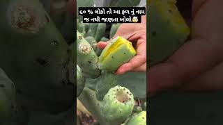 90% લોકો ને ખબર નથી આ ક્યું ફળ છે 🤯 ~ cactus food 🌵#shorts #food #cactus #shortsfeed #facts #yt