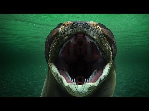 Titanoboa Monster Snake Full Episode Youtube