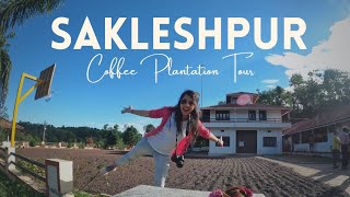 Sakleshpur | Coffee Plantation Trail | Best homestays in Sakleshpur | Incredible India | Dharthi NGO