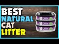 ✔️Top 5 Best Natural Cat Litters | Best Natural Cat Litters Review