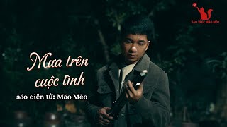 Mưa trên cuộc tình : Mão Mèo cover