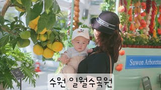 수원(아기랑 가볼만한곳) 눈물의여왕 촬영지'일월수목원'다녀왔어요