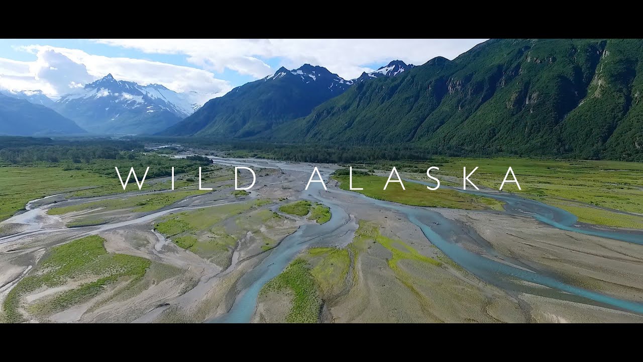 Wild Alaska Youtube