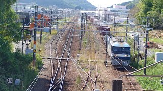 昼間の備後赤坂駅付近　電車ウォッチング　2023/10/11 113系 115系 227系 EF210